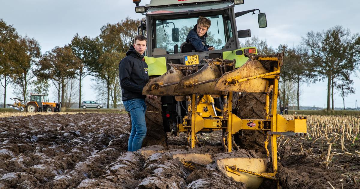 Ploegers klaar, ploegen maar! Beste trekkerchauffeurs van Overijssel zijn in Herxen: ‘Het is heel se