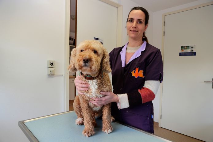 Dierenarts Kim Landzaat met hond Suus (Suus is géén slachtoffer van de gehaktballen).
