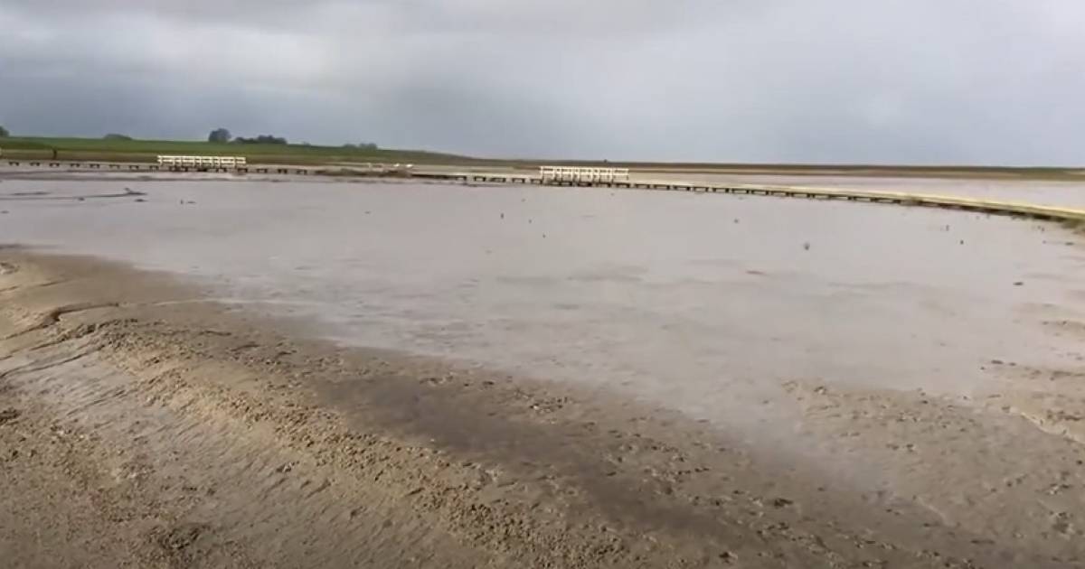 Tod auf deutschem Wattenmeer entpuppt sich als vermisster Niederländer |  Im Ausland