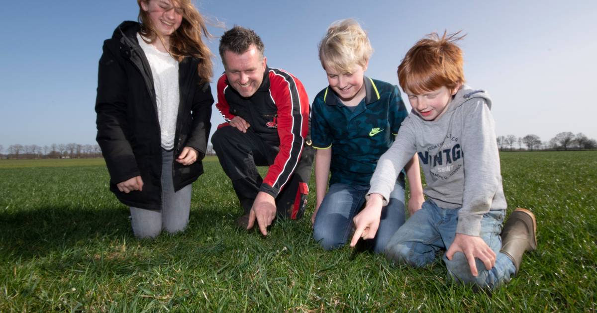 Met de hele familie de kievit beschermen in Haghorst