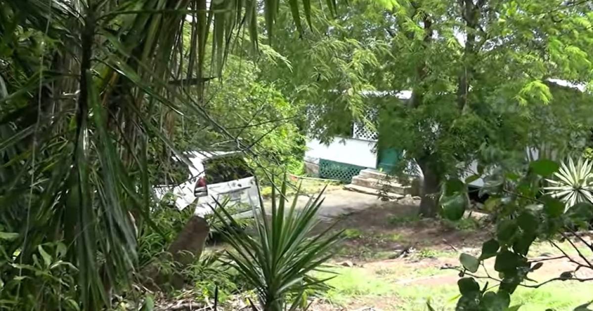 Nederlandse (60) en echtgenoot (65) vermoord op Caribisch eiland: 'Pia was de rots van ons reisburea