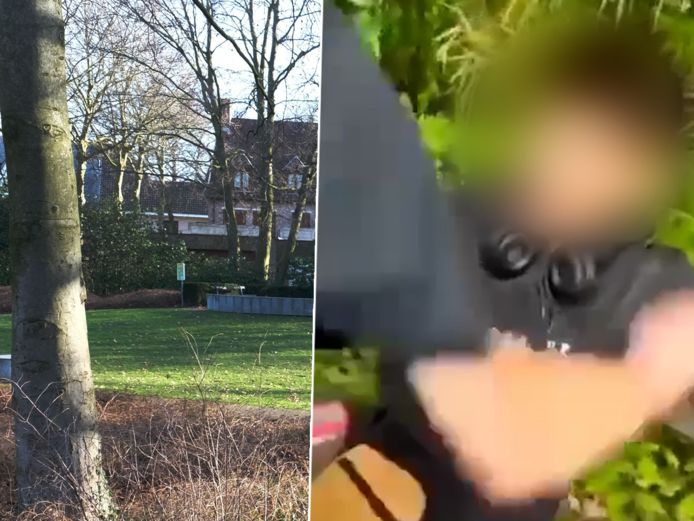 De feiten deden zich voor in het stadspark van Harelbeke (links). Een jongen werd er zonder enige aanleiding aangevallen en incasseerde rake klappen (rechts).