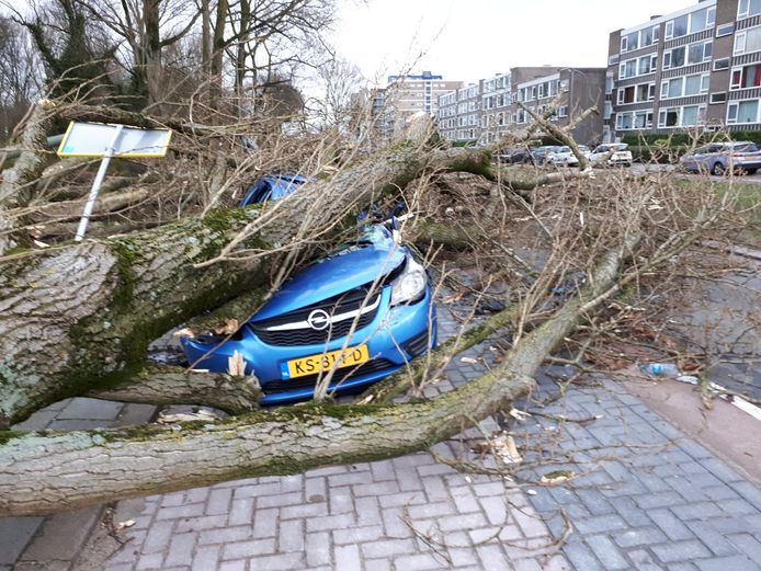 Op de Mauritsweg in Dordrecht werden meerdere auto's geplet.