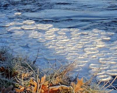 Bijzonder natuurverschijnsel: IJspannenkoeken! ‘Prachtig gezicht’