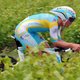 Astana focust zich op Brajkovic en Vinokoerov