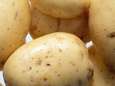Rusland bant Europese aardappelen