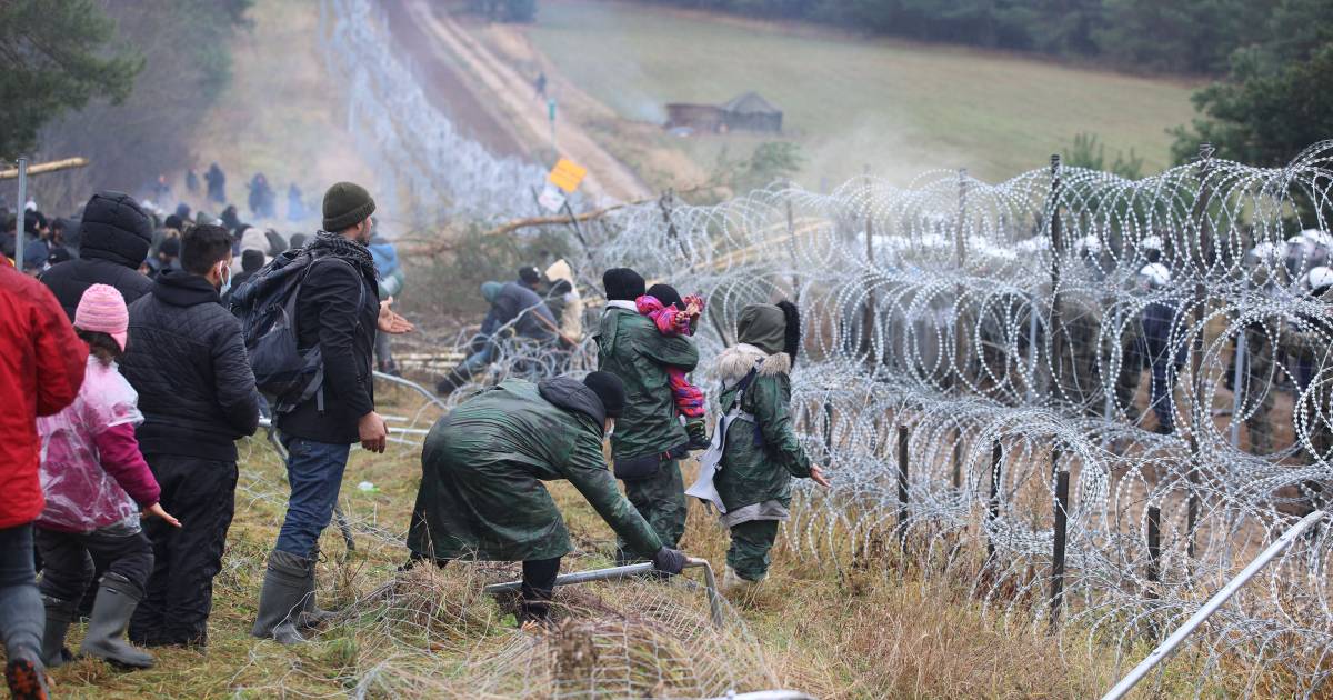 The European Union: “No money to buy fences on the external borders” |  Abroad