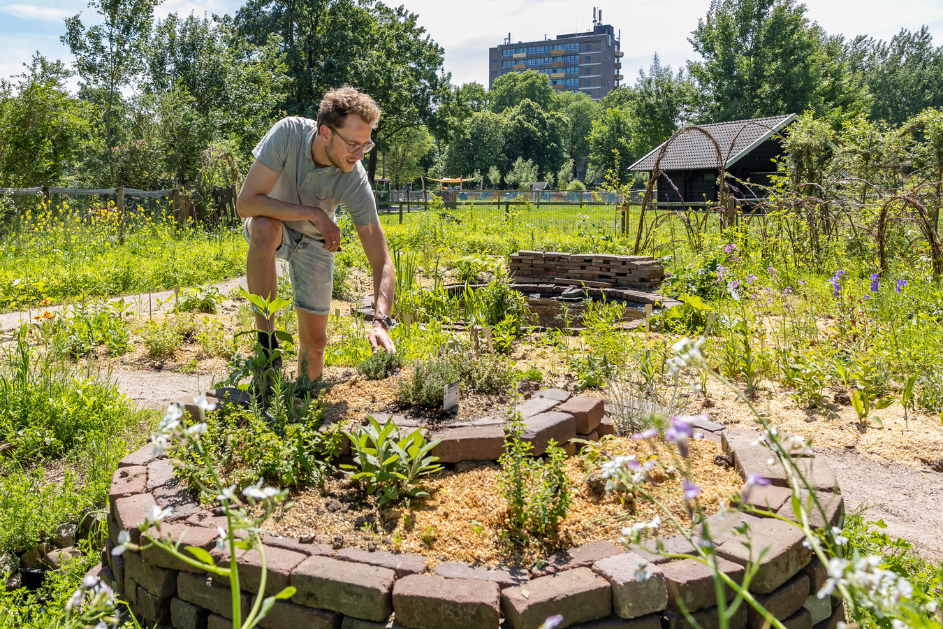 Zwolle krijgt in Park de Wezenlanden