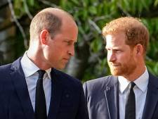 Prins William naar verluidt razend over onthullingen jongere broer: 'Grens overschreden’
