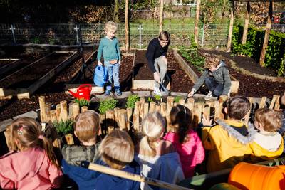 De Vonder opent een wondertuin met schapenwol als geheime troef