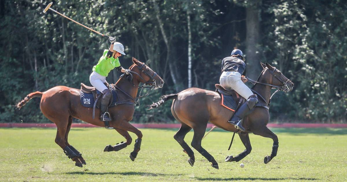 zwak stereo commentaar Polo te paard in Twente: zonder de Engelse Royals, maar wel voor het goede  doel | Enschede | tubantia.nl