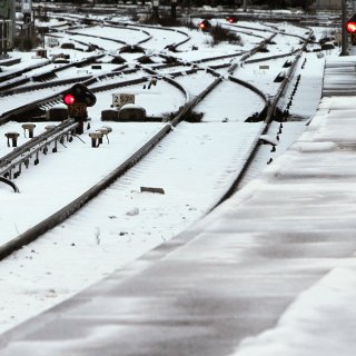 https://images0.persgroep.net/rcs/YL1T4KKqsIEtbRFWiQf0OWKfv5A/diocontent/268263176/_focus/0.5/0.5/_fill/320/320?appId=93a17a8fd81db0de025c8abd1cca1279&quality=0.85