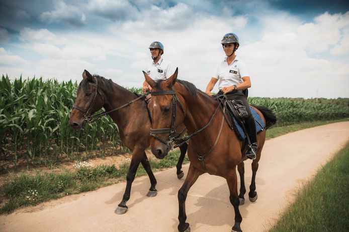 De politie te paard in Borgloon.