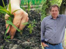 Un expert en jardin donne conseils pour les travaux de jardinage pour le mois de juin