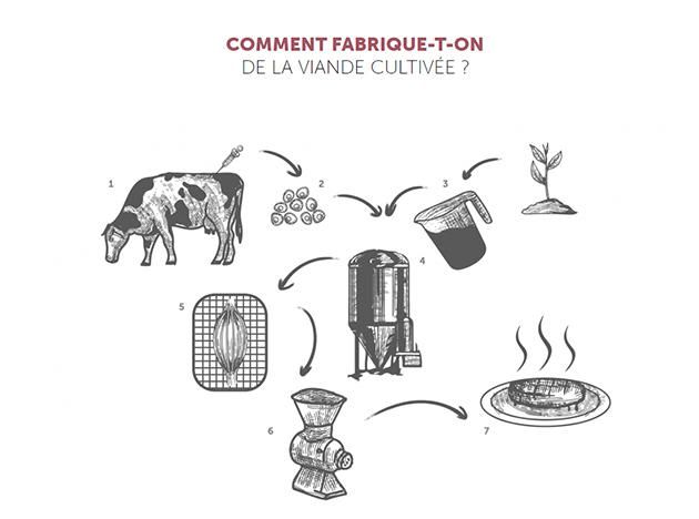 Illustration des différentes étapes de fabrication
