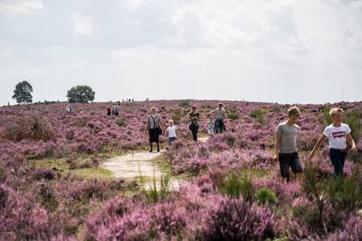 Toerisme moet wel nog leuk blijven, ook in Gelderland