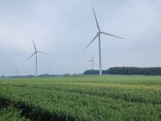 Studie voorziet enkel nog windturbines aan rand van Pajottenland. In Halle is niet iedereen enthousiast: “Wij krijgen de windmolens en het Pajottenland het extra groen”