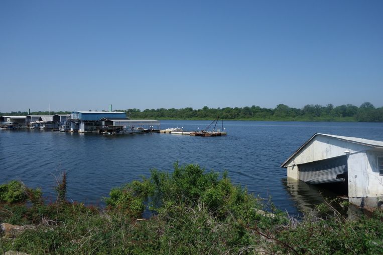 Mississippi Rivier waar Main Street in Greenville op uitkomt. Beeld Erik van Zwam