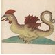 Conservator Artis Bibliotheek Hans Mulder: ‘Heel lang vonden we het bestaan van draken heel gewoon’