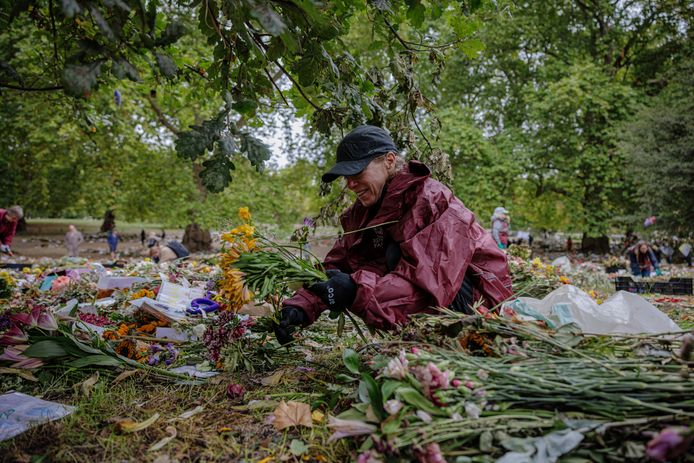 Vrijwilligers halen bloemen voor de Queen weg uit Londense parken.