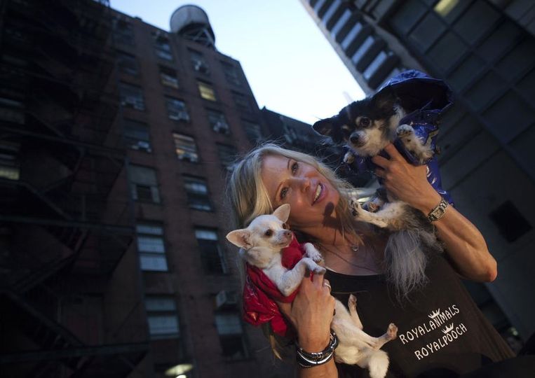 Het Parool Vrij, Onverveerd