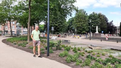 Bijna 3000 tulpen zorgen straks voor kleurrijk Willem-Alexanderplein