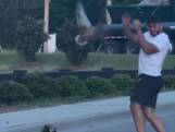 Man wordt aangevallen door eend terwijl hij kuikens helpt