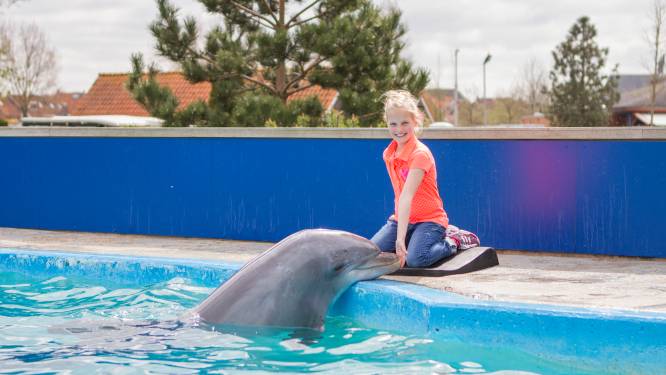 Dolfinarium in Harderwijk moet roer radicaal omgooien: ‘Niets doen is geen optie’