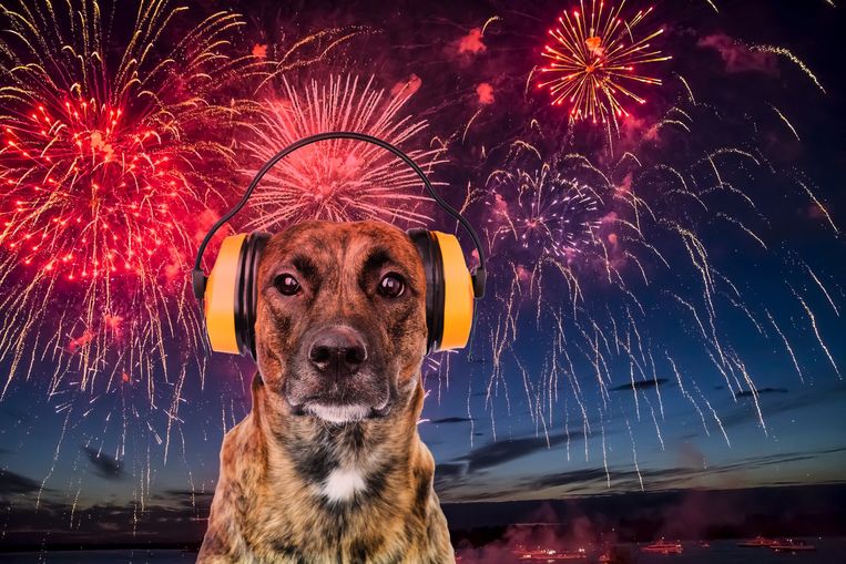 Vuurwerk toegelaten op oudejaarsavond met deze tips bescherm je je