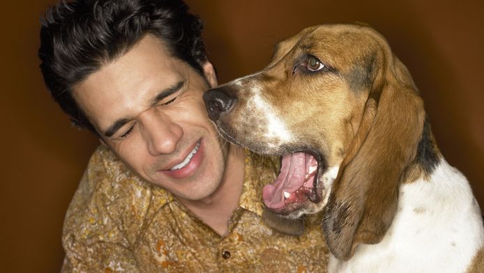 Waarom Stinkt Jouw Hond Dieren Hln Be