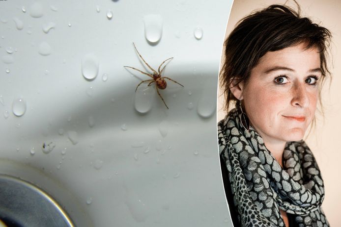 Klinisch psychologe Marieke Impens vertelt hoe je van een spinnenfobie verlost raakt.