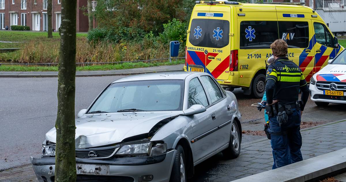 hond aangereden op A58 • crash auto in Den Bosch.