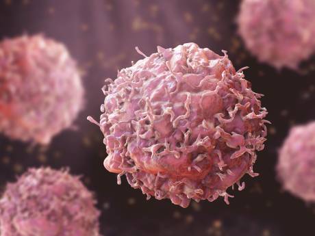 Des chercheurs belges font une grande découverte dans la lutte contre le cancer