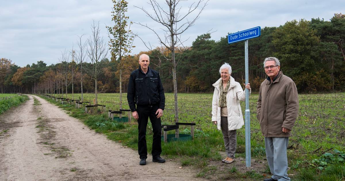 Riethoven geeft 100-jarige school groener schoolplein cadeau
