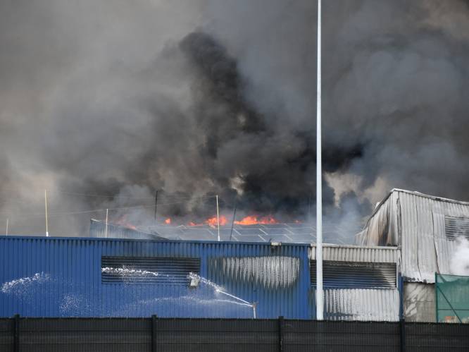 Brand bij afvalverwerkingsbedrijf Renewi in Kampenhout, rookpluim van ver te zien