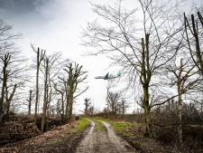 Verbazing over ‘onnodige’ verwoesting van stukje bos bij Eindhoven Airport: ‘Ik krijg ter plekke vliegschaamte’ 