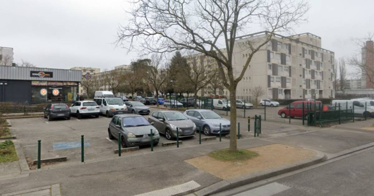 Vader (60) onthoofd door eigen zoon (25) op parkeerplaats bij Lyon - BD.nl