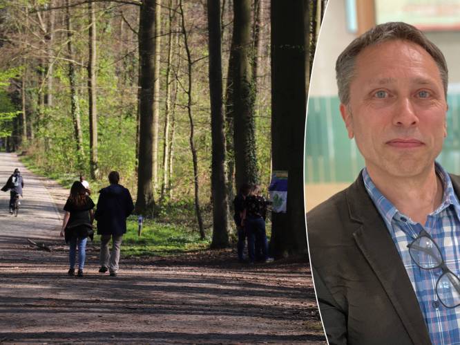 Vlaams regeerakkoord beloofde ons 4.000 hectare nieuw bos in Vlaanderen: ontdek hier hoeveel bos er in Scherpenheuvel-Zichem bijkwam
