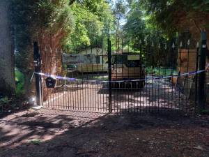 Vermoorde man (64) in tuin gevonden in Herselt, vrouw (46) opgepakt