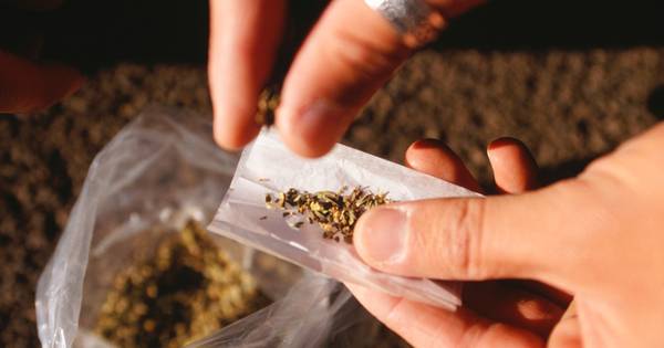 Agent ruikt wiet op voetbalveld in Standdaarbuiten en vindt een berg drugs