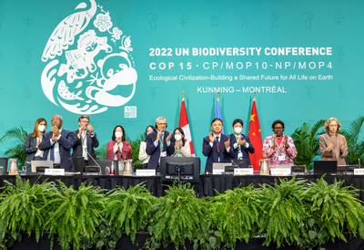 Belgische biodiversiteitscoalitie tevreden over COP15, maar maant aan tot actie