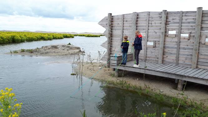 Tweede fase Marker Wadden laat op zich wachten: ‘Heel erg jammer’