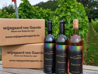 Hagelandse wijnbouwers behalen mooie score op ‘Beste Belgische wijn’