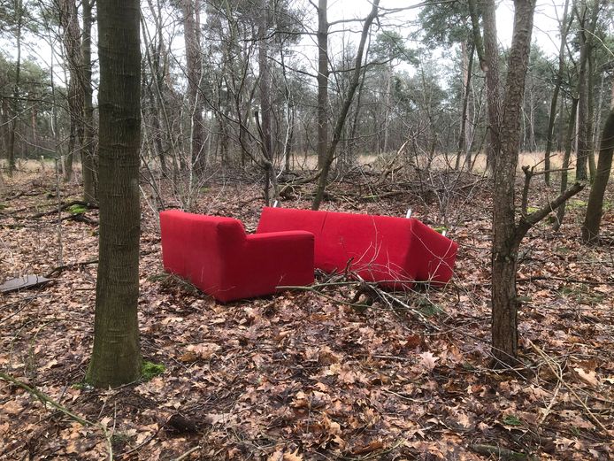 In het bos nabij Strabrechtse Heide.