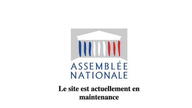 Le site de l'Assemblée nationale française bloqué par des hackers pro-russes