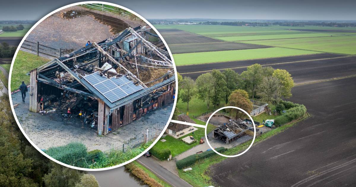 Vijf antwoorden over branden met zonnepanelen: ‘Dit is niet het nieuwe asbest’