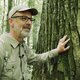 Bomen praten met elkaar maar, in The Hidden Life of Trees zeggen ze weinig