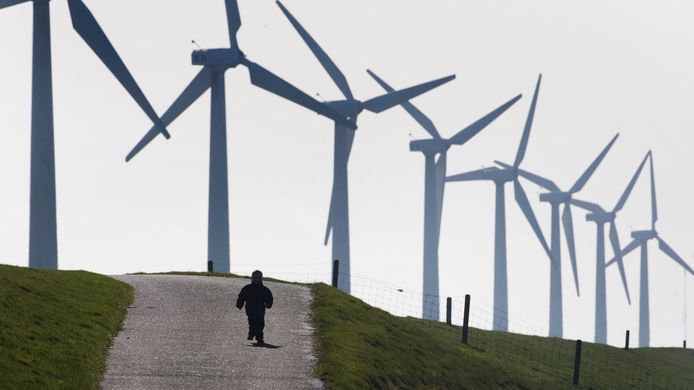 Een windpark, elders in Nederland