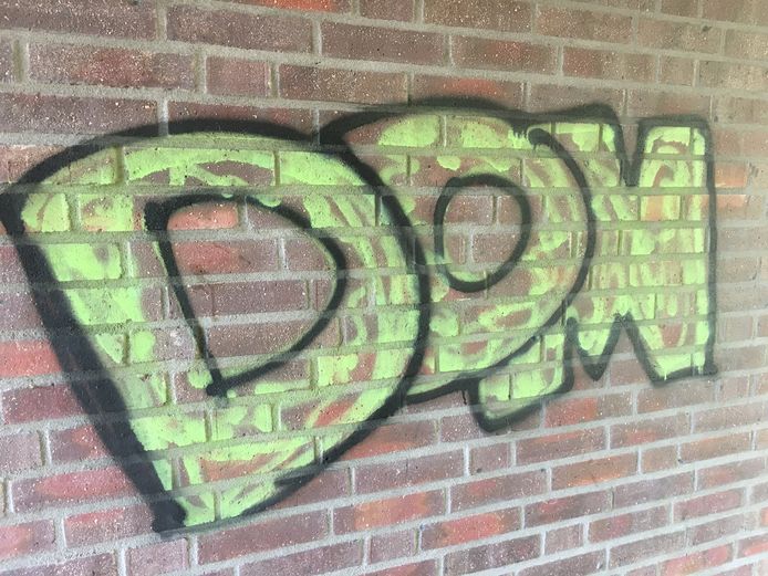 Graffitispuiter is DOM bezig in Hilvarenbeek | Hilvarenbeek | bd.nl