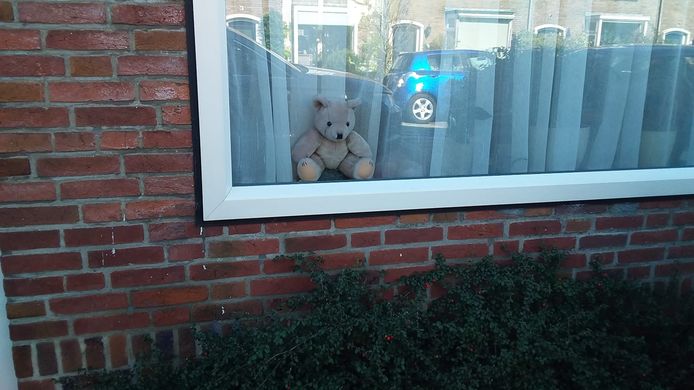 Eén van de vele beren die meedoen aan de berenjacht.